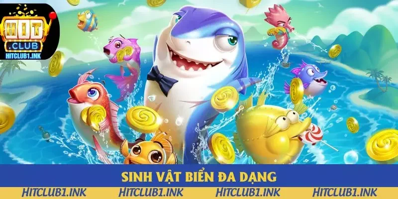 Trải nghiệm hấp dẫn với các sinh vật biển đa dạng